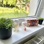 N&n - Mit Netflix - Workstation Im Zentrum