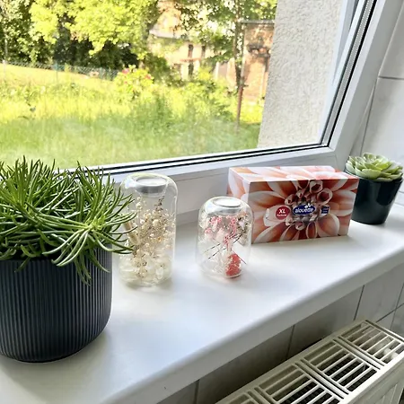 N&n - Mit Netflix - Workstation Im Zentrum